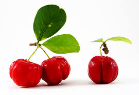 Acerola