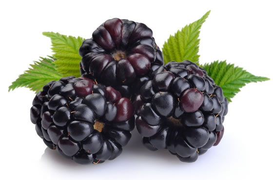 Boysenberries Boysenberries