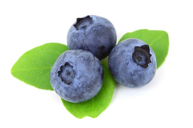 Heidelbeeren Heidelbeeren